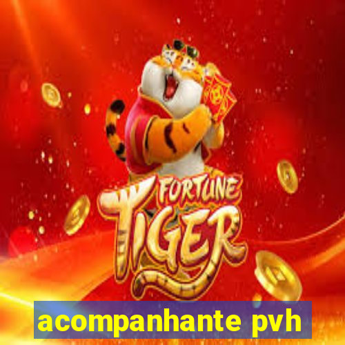 acompanhante pvh